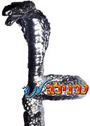 נחש מתפתל