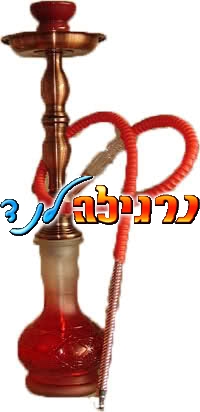 נרגילת ונוס