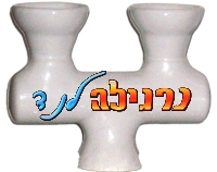 ראש כפול