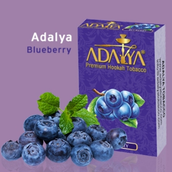 אדליה ADALYA אוכמניות