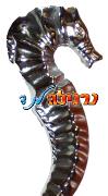 סוסון ים מלכותי