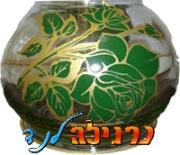 סורית זהובה מתברגת