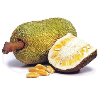Daly Code - Jackfruit